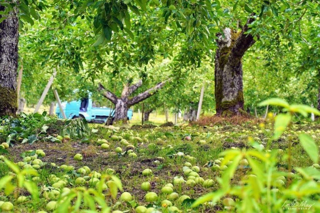 Daichan Farm Guest House Asahi  Экстерьер фото